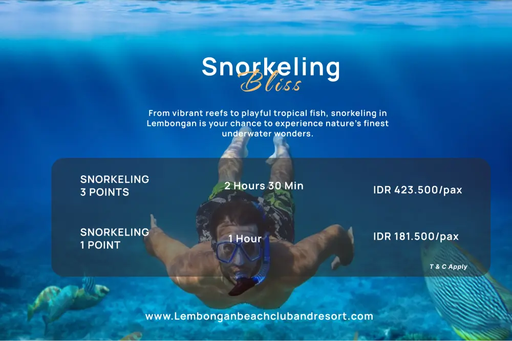 WATERACTIVITIES  - NUSA LEMBONGAN images