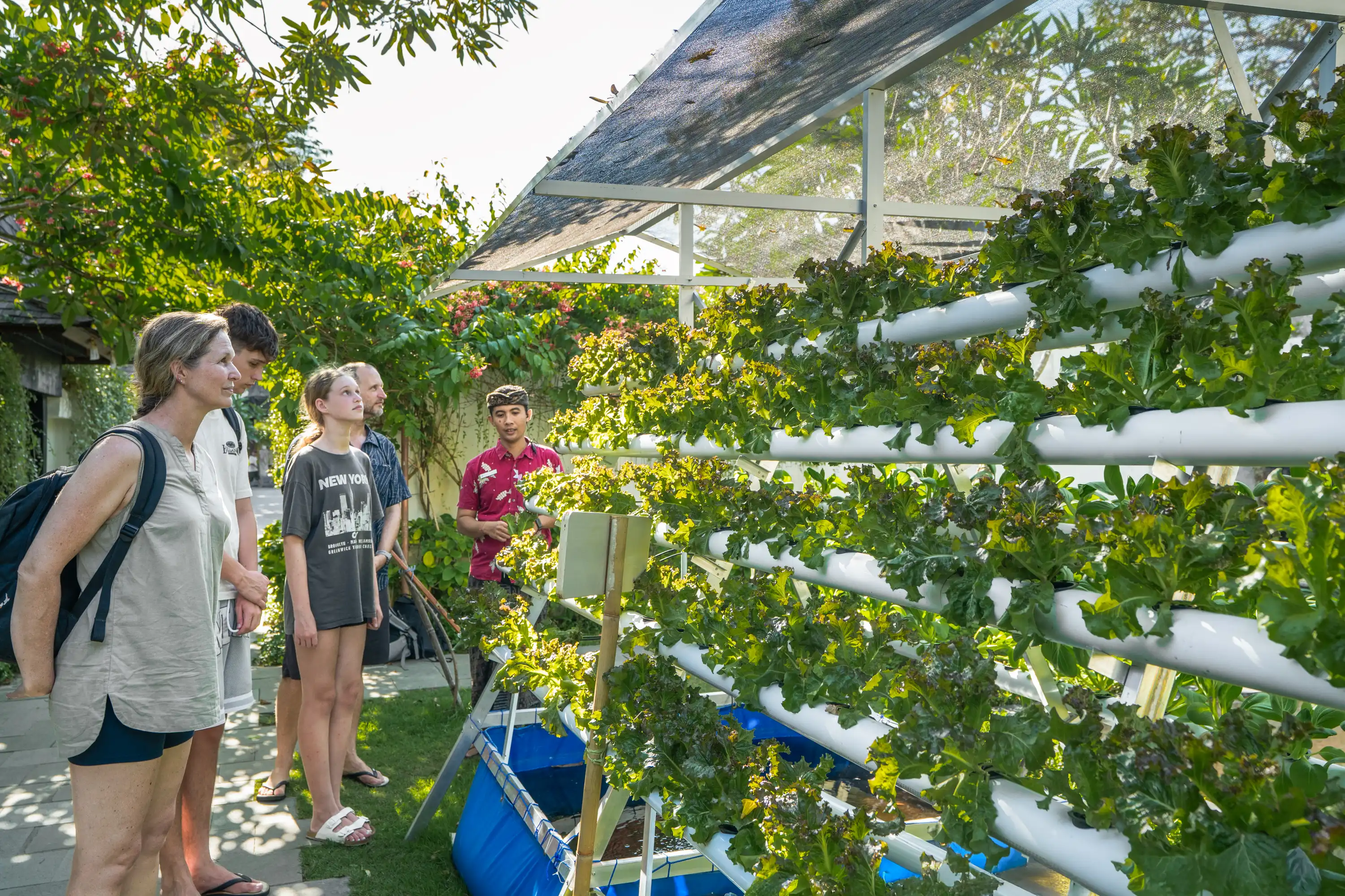 HYDROPONIC GARDEN AT LEMBONGAN at Lembongan Beach Club & Resort