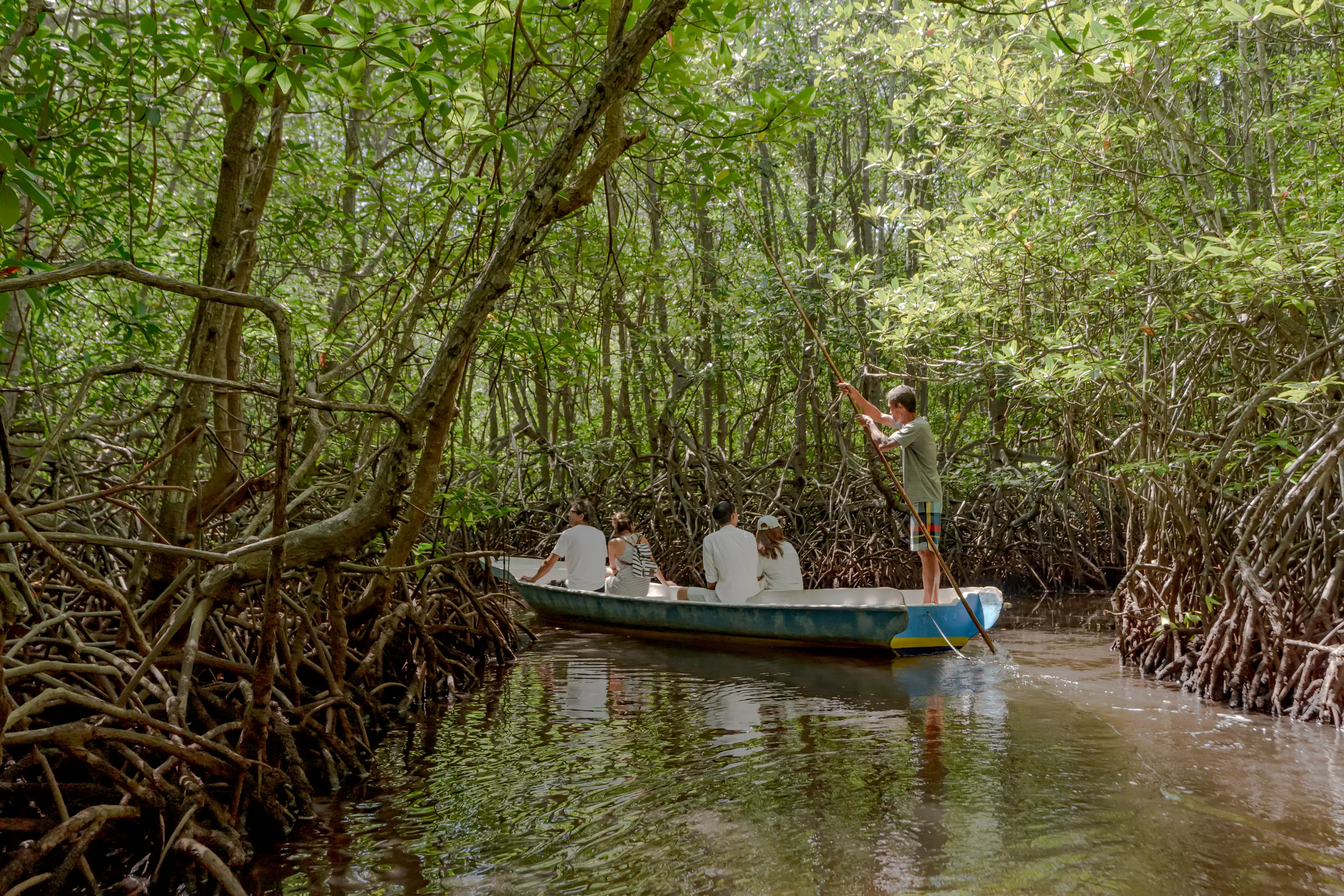 The Mangrove Forest Tour: A Sustainable Way to Explore Lembongan