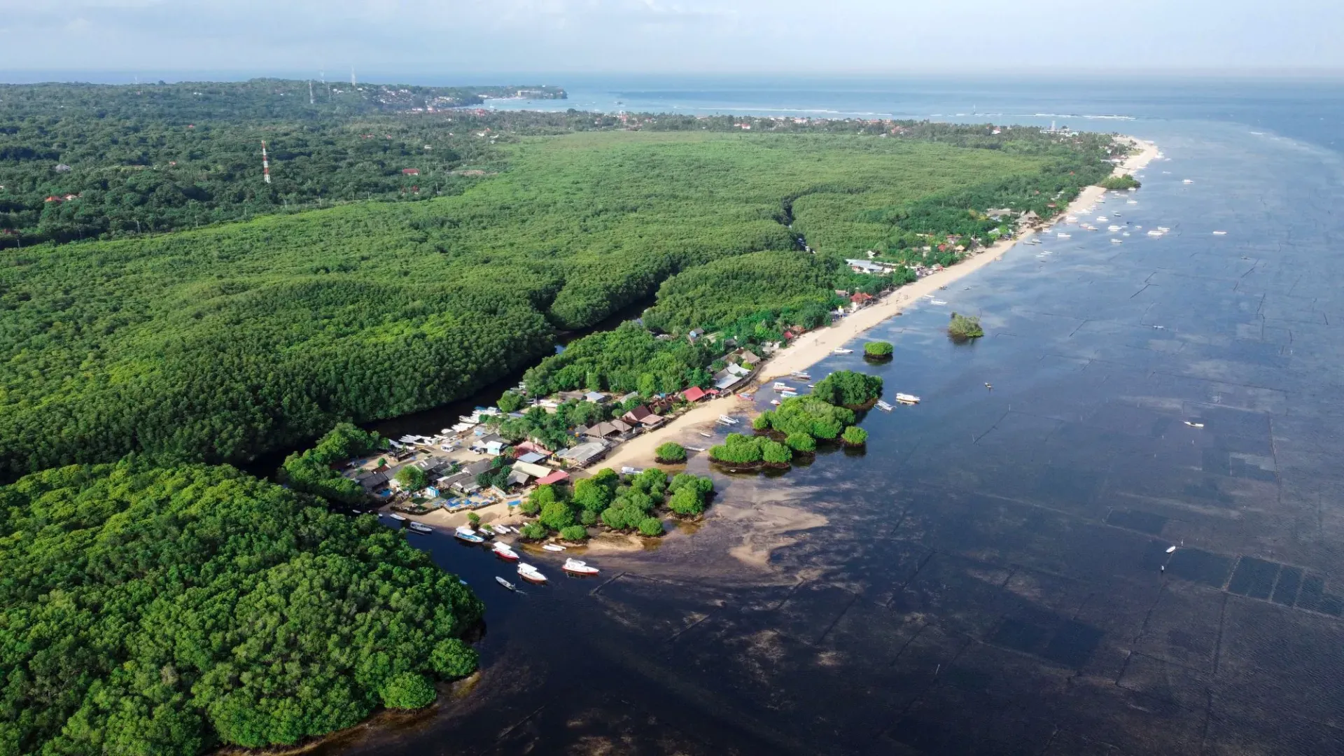 Mangrove Site Near Lembongan Beach Club And Resort